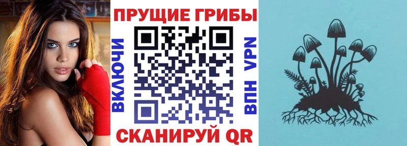 купить наркотики цена  Тольятти  Галлюциногенные грибы Psilocybine cubensis 