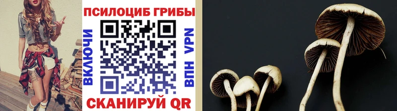 Псилоцибиновые грибы MAGIC MUSHROOMS Тольятти